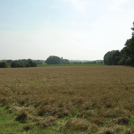 Gulspurvevaenget V Ferienhaus Nordenbro Vesteregn